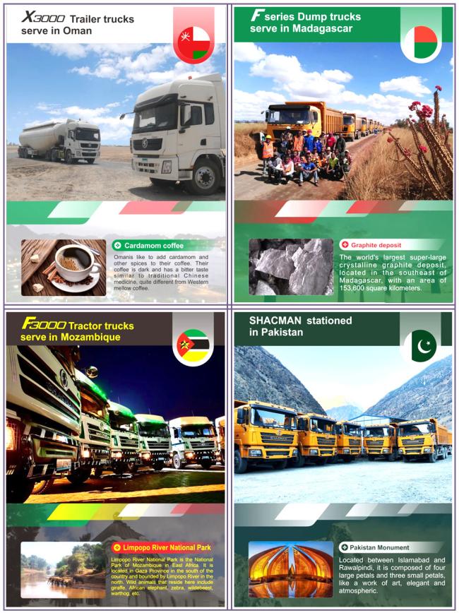 Made in China Shacman 10 Wheels 12 Wheels Dump Lorry Mining Dump Tipper Truck Exporting