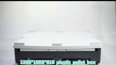 China contenedor plástico del plegamiento de la cartulina del envase de la plataforma de plataforma del plegamiento del almacén de la caja del transporte de la caja plástica del plegamiento en venta