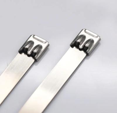 China SS 304 Double Locking Type Stainless Steel Cable Ties 0.3mm Thickness for sale