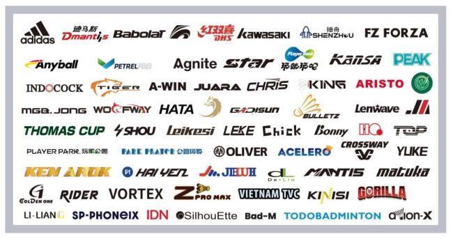 3in1 Badminton Shuttlecock Chinese Factory Direct Sale Anyball 222 Goose Feather Durable and High Quality