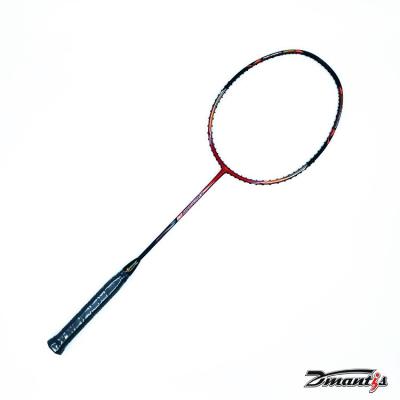 China Hot Selling Light Weight Training Top Speed Training Full Carbon Graphite Rackets Professional Top Badm à venda