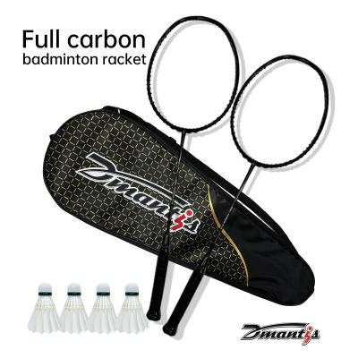 China Dmantis Model 19 Badminton Racquets 100% Full Carbon Fiber Badminton Rackets for sale