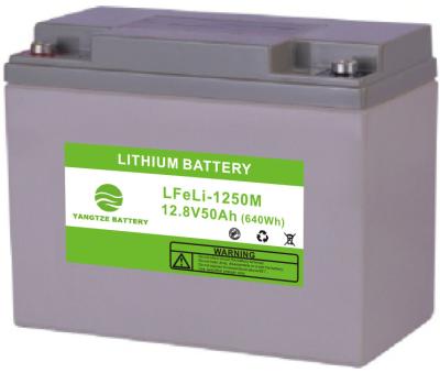 China Deep Cycle LiFePo4 Lithium Ion Solar Battery 12V 50AH Solar Panels Energy storage for sale