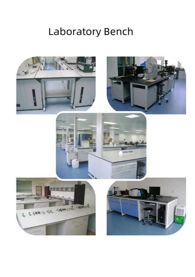 Full Steel Structure Lab Chemical Fume Hood for Laboratory