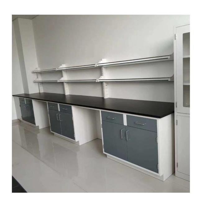 Chemistry Physics Biology Laboratory Chemical Resistance Steel Wooden Wall Bench Side Bench for School Hospital