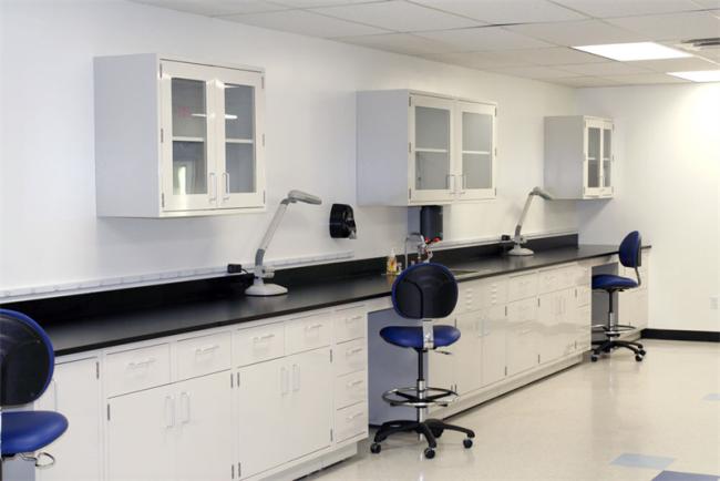 Chemistry Physics Biology Laboratory Chemical Resistance Steel Wooden Wall Bench Side Bench for School Hospital