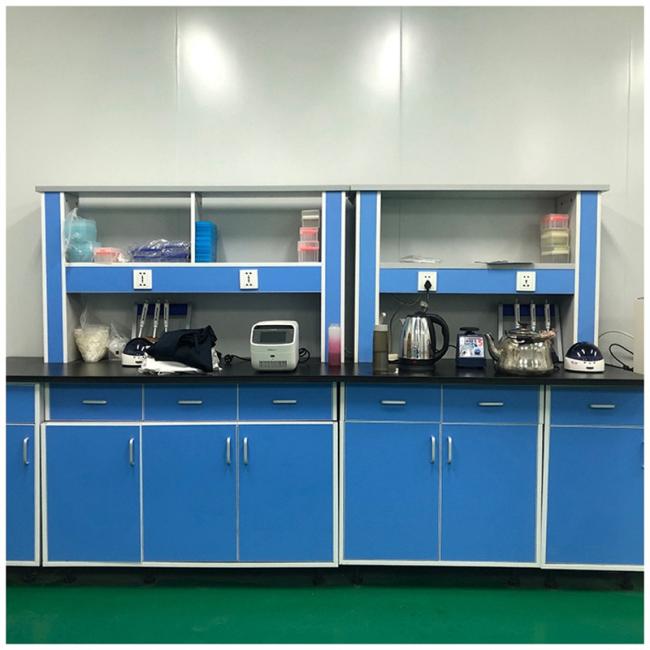 Chemistry Physics Biology Laboratory Chemical Resistance Steel Wooden Wall Bench Side Bench for School Hospital