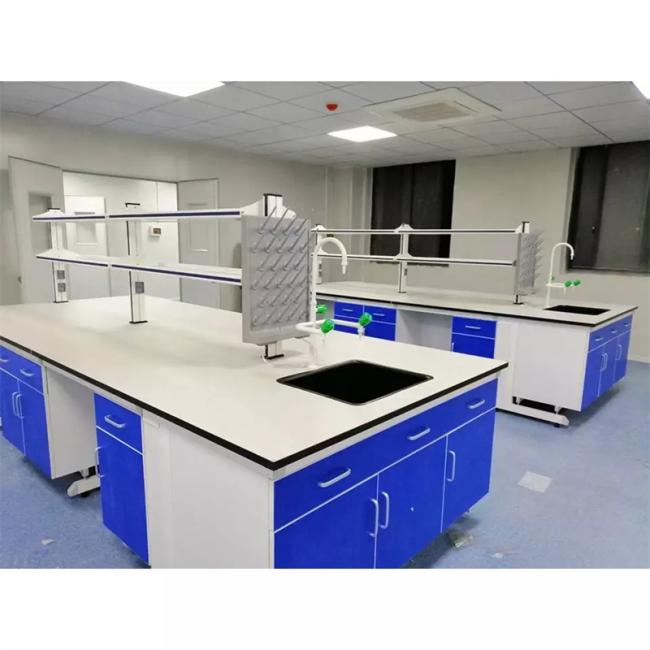 Biology Chemistry Physics Laboratory Chemical Resistance Stainless Steel Laboratory Sink Work Bench with Reagent Rack for School Hospital