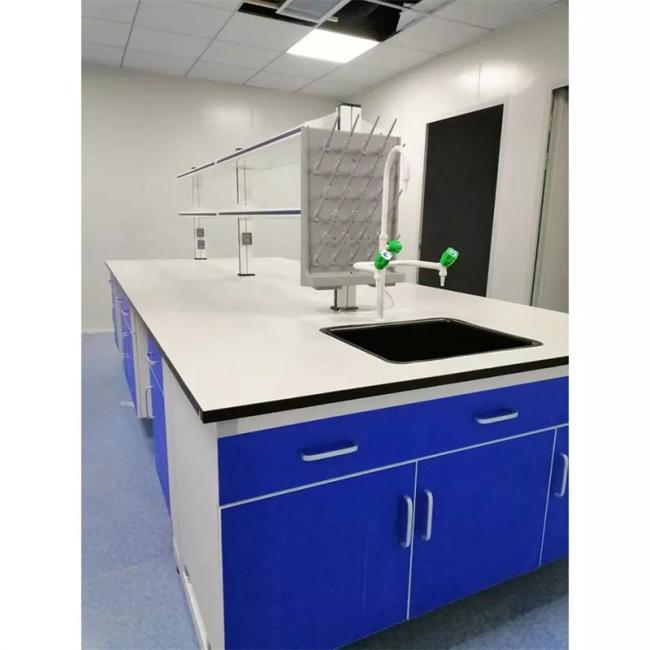 Biology Chemistry Physics Laboratory Chemical Resistance Stainless Steel Laboratory Sink Work Bench with Reagent Rack for School Hospital