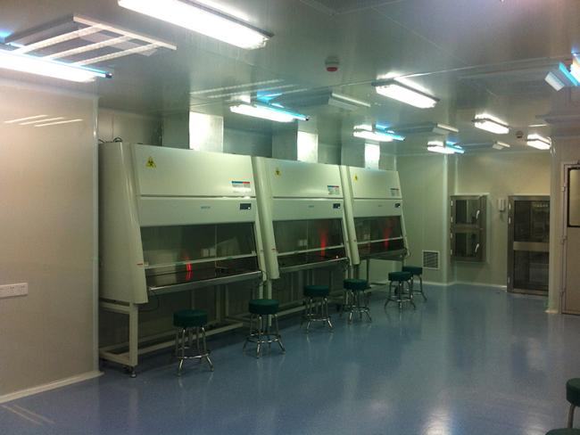 CE Certified Laboratory Furniture Medical Equipment Microbiological Level II B2 Biosafety Cabinet
