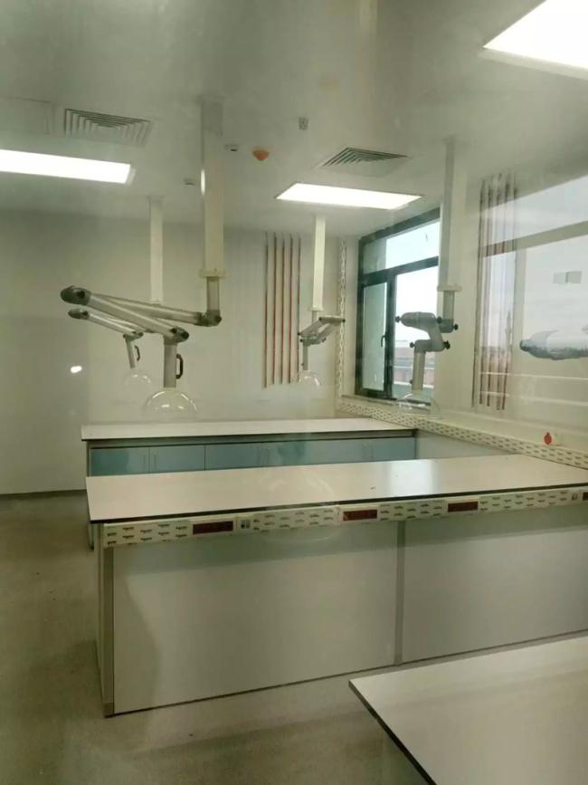 Laboratory Furniture Wall Mounted PP Stainless Steel Universal Retractable Fume Exhaust Extraction Arm for School Chemistry Hospital Research Institute