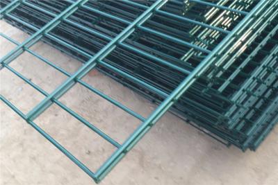 China PVC Coated Galvanized 656 Mesh Fencing 50x200mm Double Wire Mesh for sale