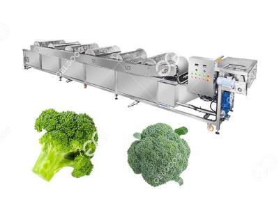 China Industrial Frozen Broccoli Cauliflower Vegetable Washing Cleaning Production Line for sale