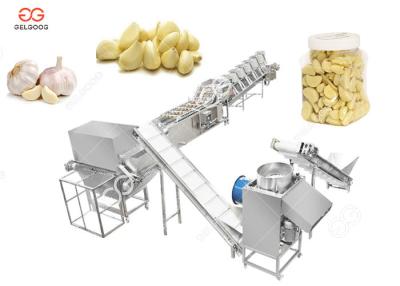 China Automatic Garlic Peeling Line , Garlic Separating And Peeling Machine for sale