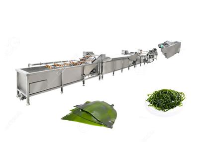 China Customizable Kelp Seaweed Cleaning Cutting Machine For Sale Kelp processing plant for sale