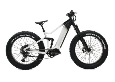 China Alloy Suspension Frame Fat Tire Bike , Pedal Assist Fat Bike Mid Drive Motor for sale