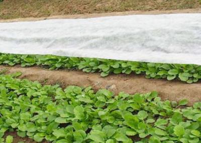 China White pp spunbond mulch film for vegetables for sale