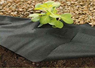 China Black spunbond nonwoven fabric for weed control for sale