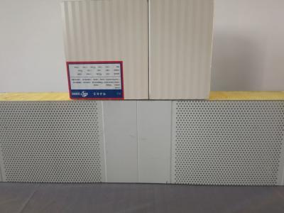 China 125mm Fireproof Grade A Acoustic Sandwich Panel Moisture Resistance for sale