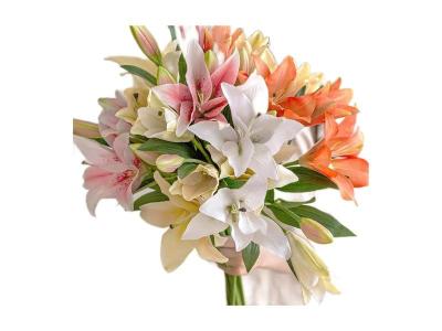 China OEM PU artificial de seda Calla Lily Flores blanco rosa en venta