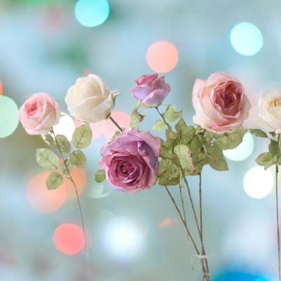 Chine Bouquet de fleurs en soie artificielle pliable en rose de soie en vrac pour l'affichage de chambre à vendre