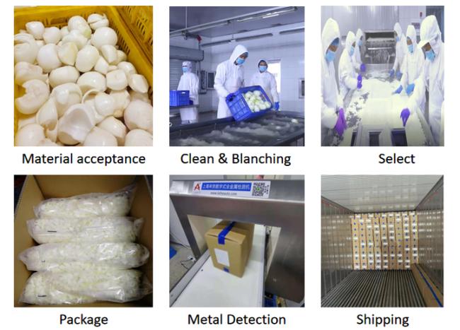 OEM/ODM High Quality and Factory Price IQF Wholesale Frozen Onion Slices IQF Onion Dices in Bulk for Wholesale and Retail