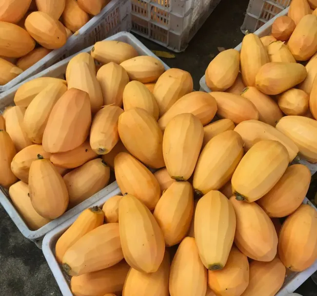 Wholesale IQF Frozen Papaya Pieces - Premium IQF Frozen Papaya Pieces Bulk