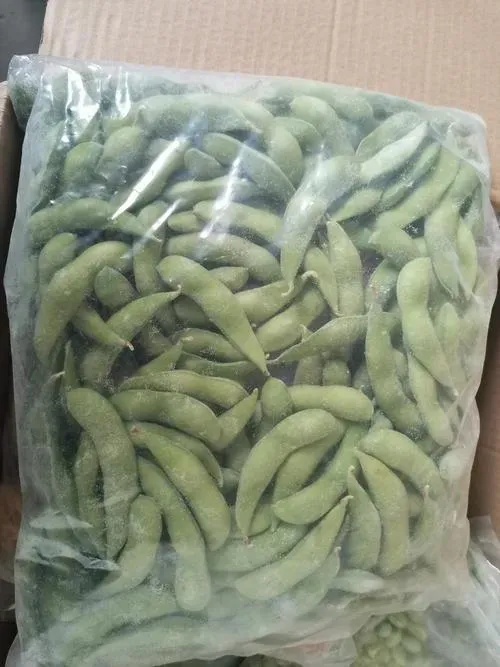 Organic Salted Frozen Edamame in Bulk Packing & Retail Packing