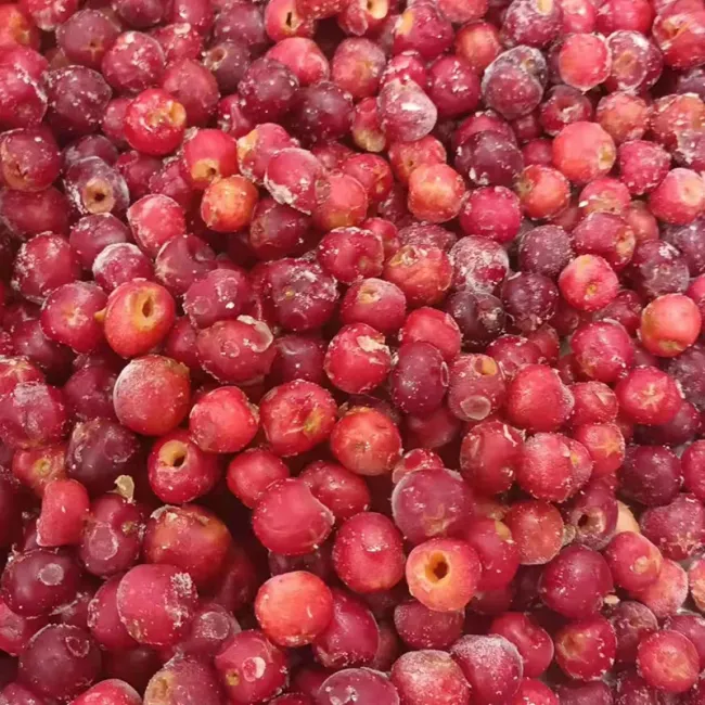 IQF Frozen Fresh Fruit Frozen Sweet Cherries
