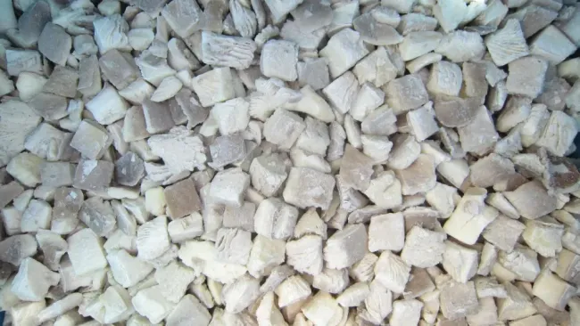 High Quality Hot Selling Frozen Mushroom IQF Oyster Cut