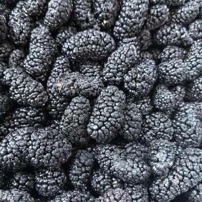 Wholesale Bulk Frozen Fruit Mulberry New Crop Frozen Fruit Bulk 10KG IQF Mulberry