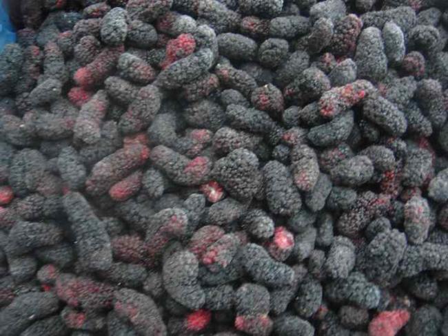 Wholesale Bulk Frozen Fruit Mulberry New Crop Frozen Fruit Bulk 10KG IQF Mulberry