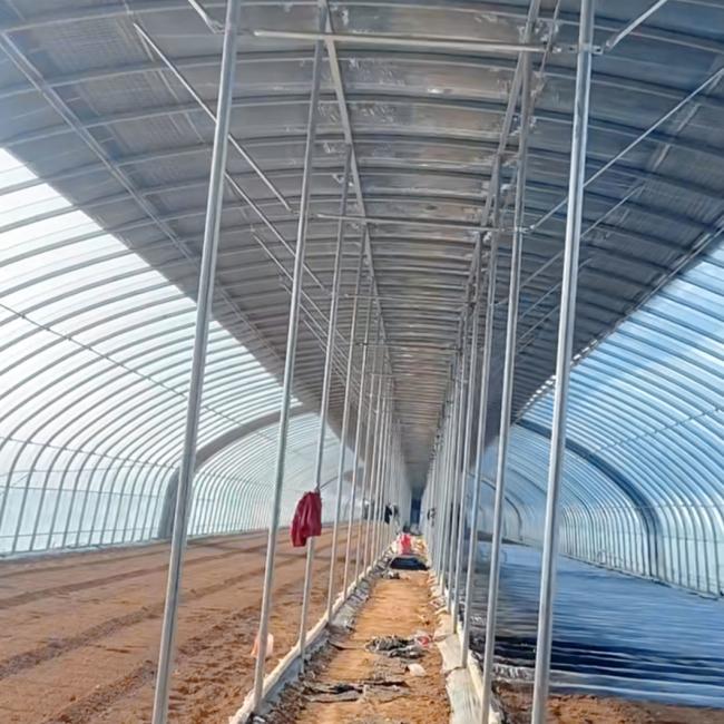 Economical Single-Span Greenhouse with Hydroponics System