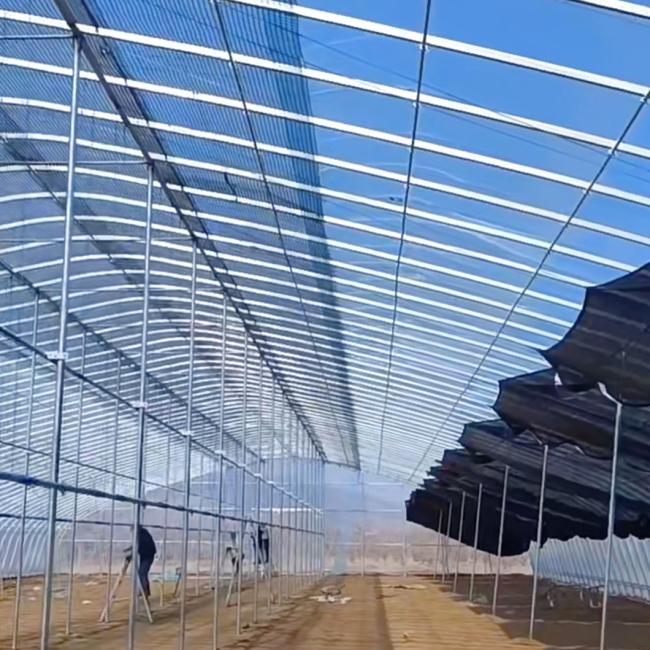 Economical Single-Span Greenhouse with Hydroponics System