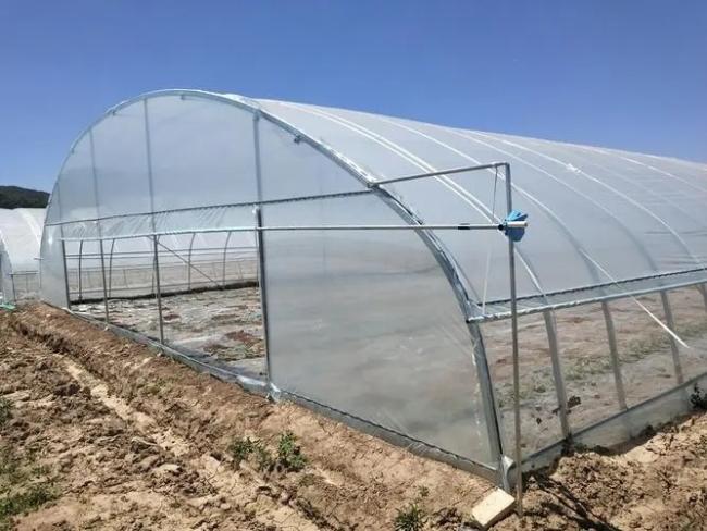 Economical Single-Span Greenhouse with Hydroponics System