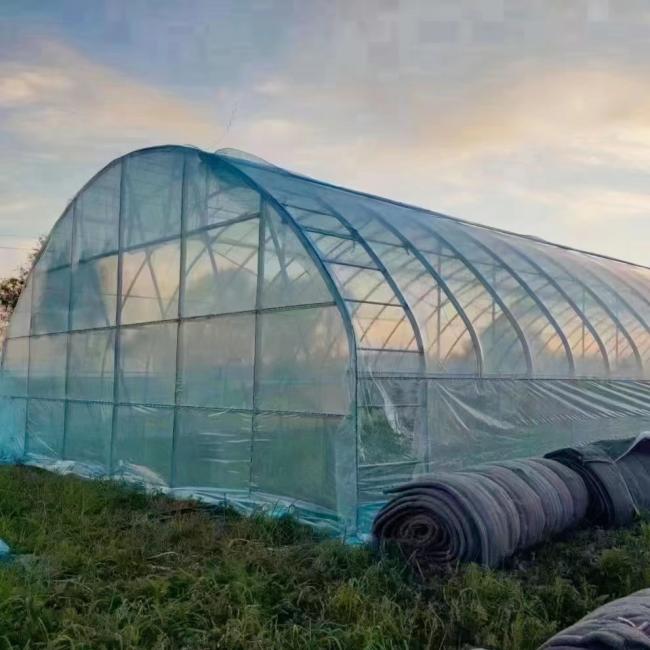 Economical Single-Span Greenhouse with Hydroponics System
