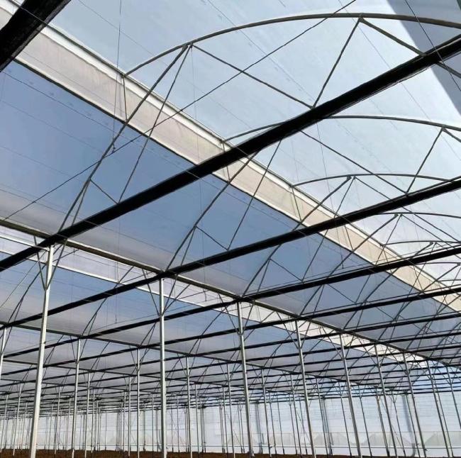 Modern Agriculture Sunlight Greenhouse for Vegetables Planting