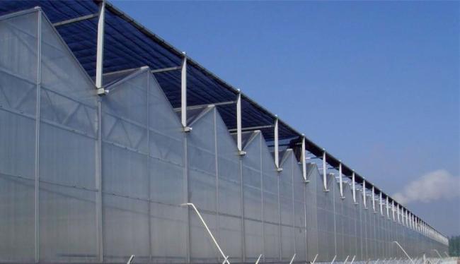 Modern Agriculture Sunlight Greenhouse for Vegetables Planting