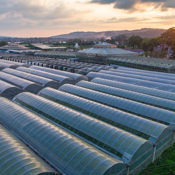 Modern Agriculture Sunlight Greenhouse for Vegetables Planting