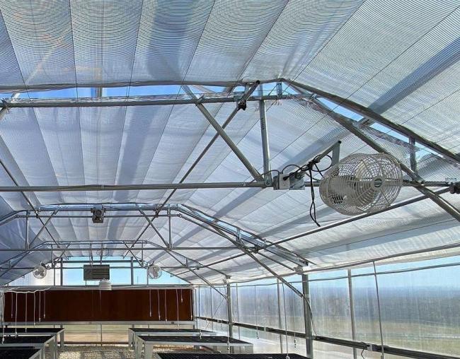 Modern Agriculture Sunlight Greenhouse for Vegetables Planting