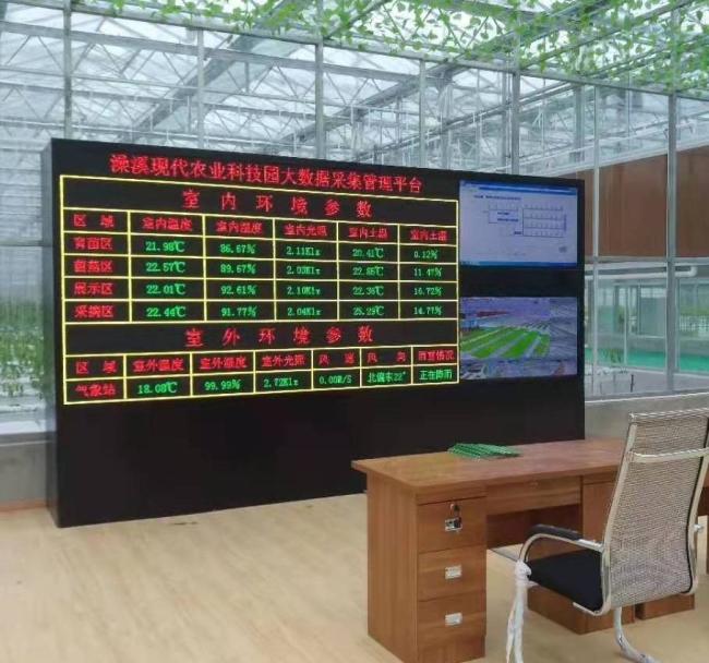 Modern Agriculture Sunlight Greenhouse for Vegetables Planting