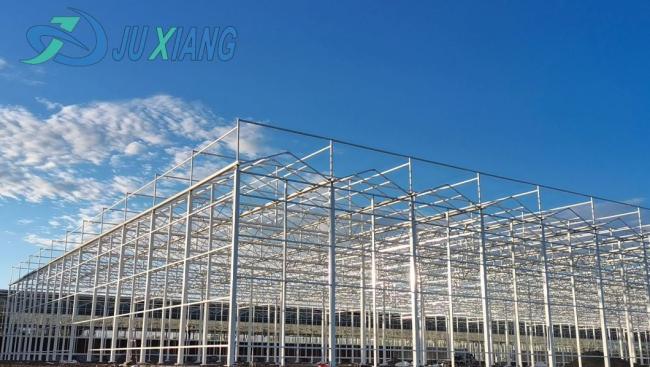 Po/PE Film Covered Hydroponic Film Greenhouse for Vegetables