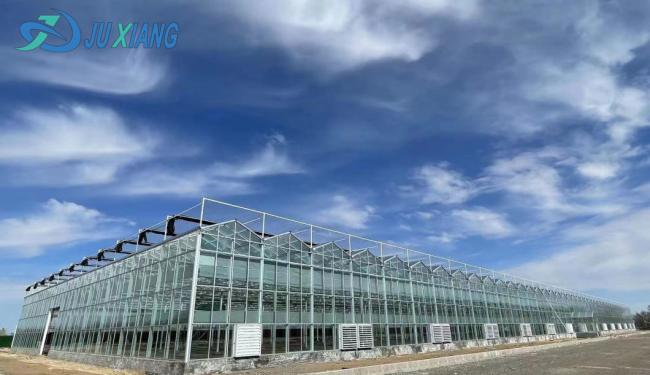 Po/PE Film Covered Hydroponic Film Greenhouse for Vegetables