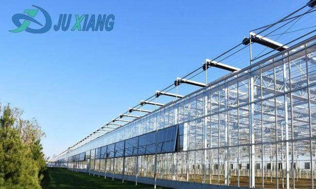 Budget-Friendly Film Greenhouse for Soilless Culture