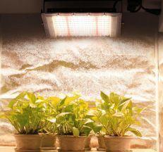Container Farming Lighting System for Greenhouses