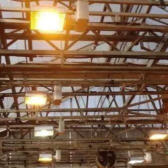 Container Farming Lighting System for Greenhouses