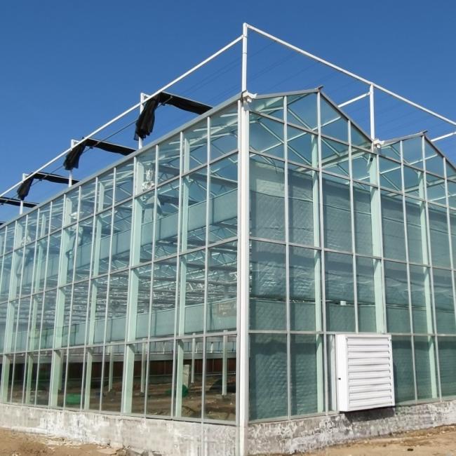 Container Greenhouse for Vertical Farming with Hydroponic System