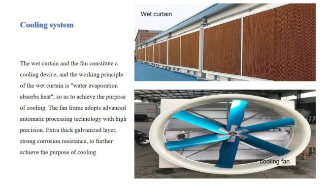 Intelligeng and Agricultural Glass Greenhouse Aquaponics Vegetable Multi-Function Glass Greenhouse