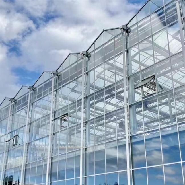 Glass Greenhouse with Hydroponics Growing System for Flowers
