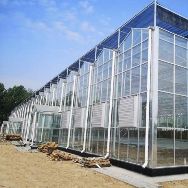 Multi Shading Screen Glass Greenhouse Hydroponics Growing